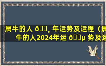 属牛的人 🌸 年运势及运程（属牛的人2024年运 🐵 势及运程详解）